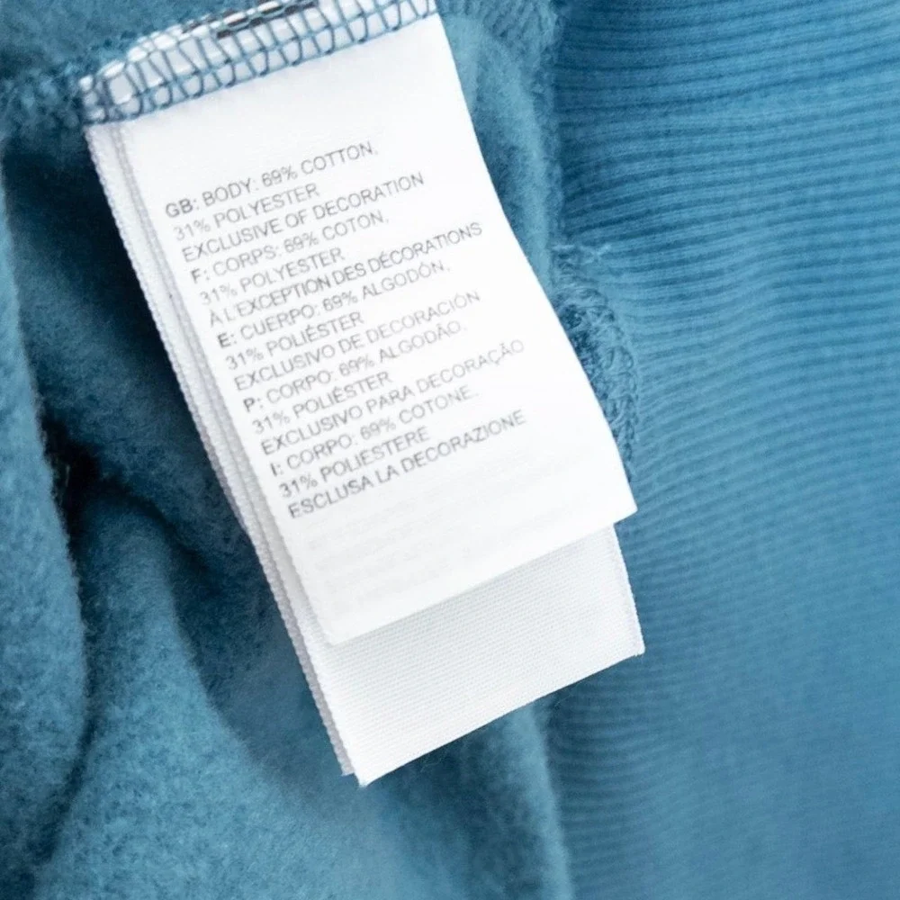The North Face Mens Hoodie Sweatshirt Size L Blue Logo‎ Athleisure Gorpcore